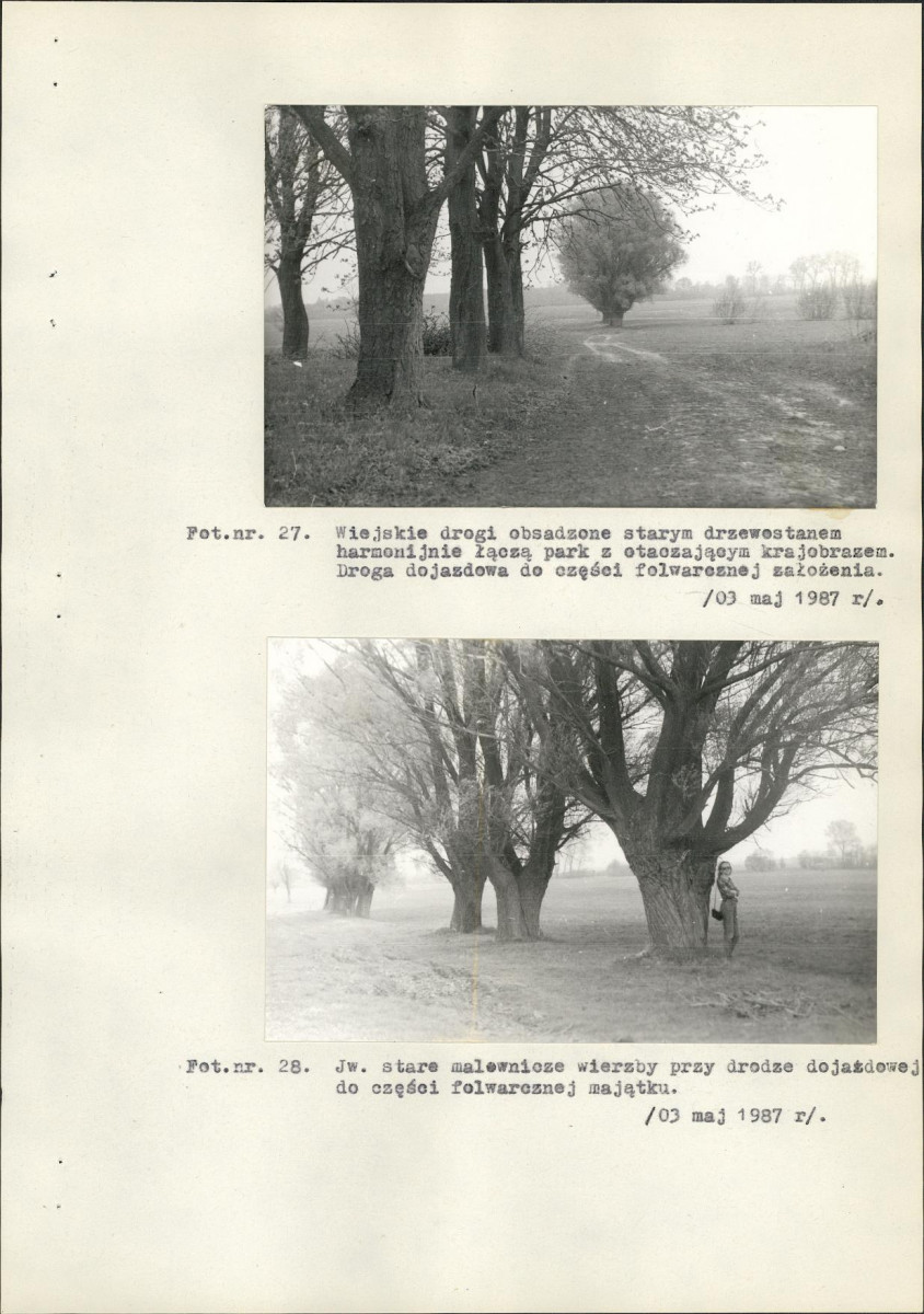 Ewidencja parkowa, skan nr 50