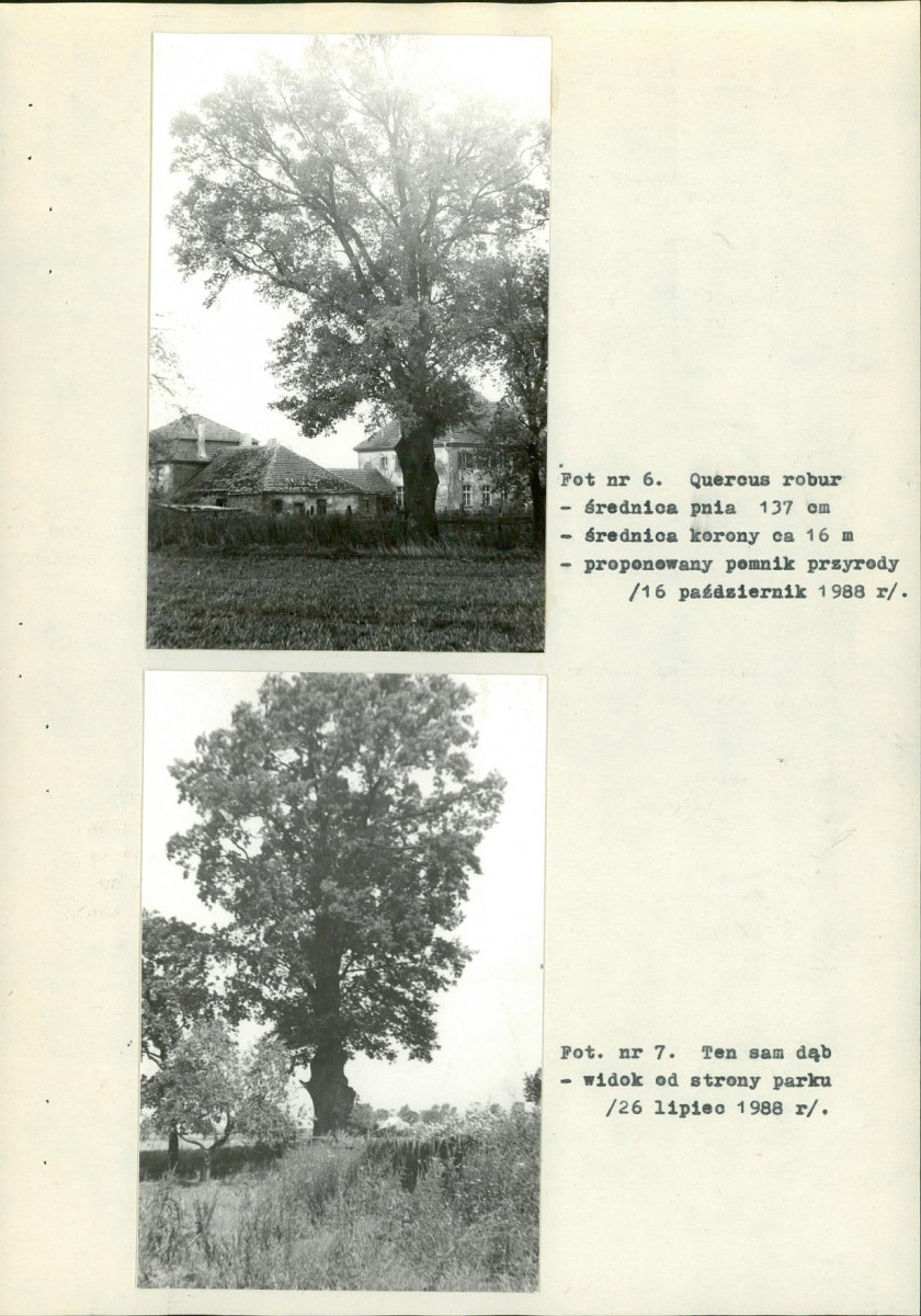 EP - Ewidencja parkowa, skan nr 28