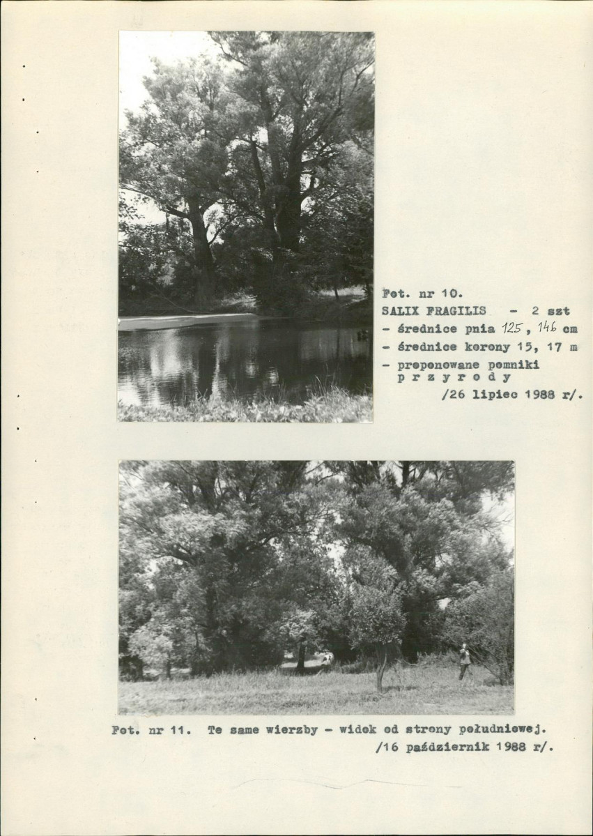 EP - Ewidencja parkowa, skan nr 30