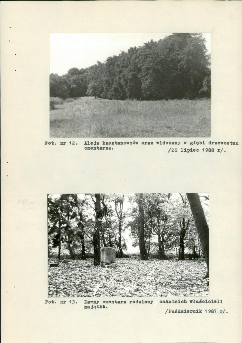 EP - Ewidencja parkowa, skan nr 31