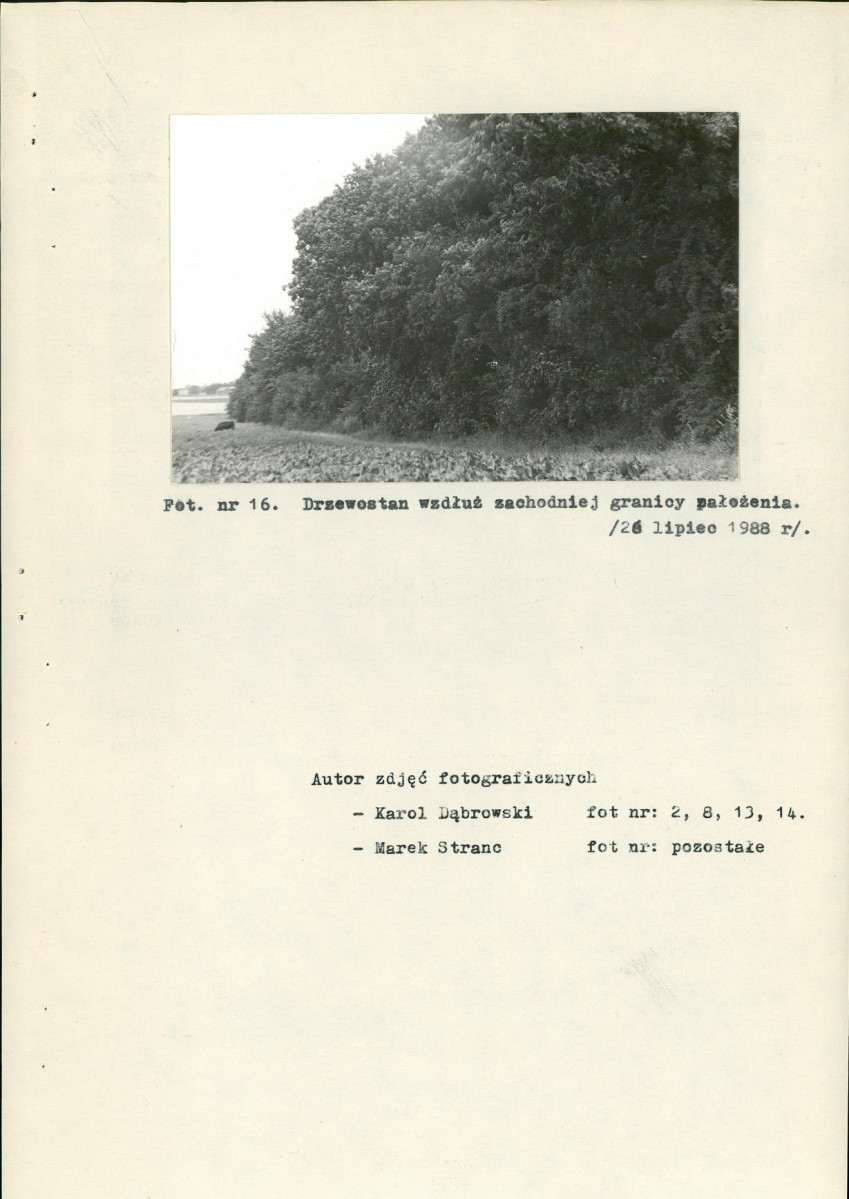 EP - Ewidencja parkowa, skan nr 33