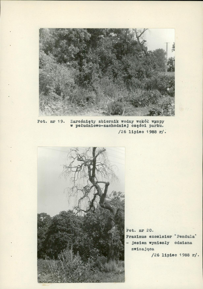 EP - Ewidencja parkowa, skan nr 38