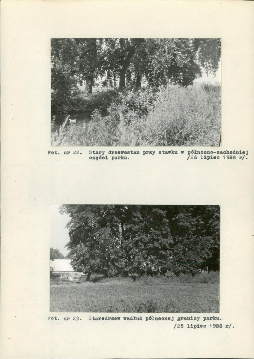 EP - Ewidencja parkowa, skan nr 40