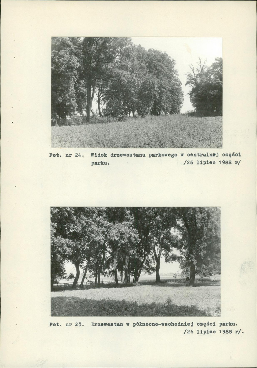 EP - Ewidencja parkowa, skan nr 41