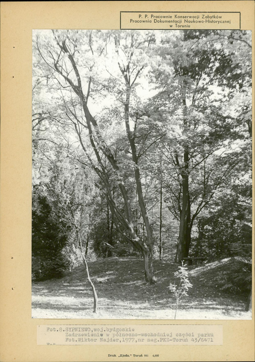 EP - Ewidencja parkowa, skan nr 20