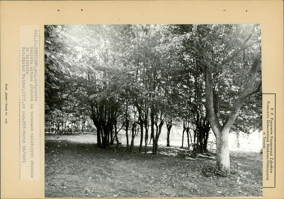 EP - Ewidencja parkowa, skan nr 23