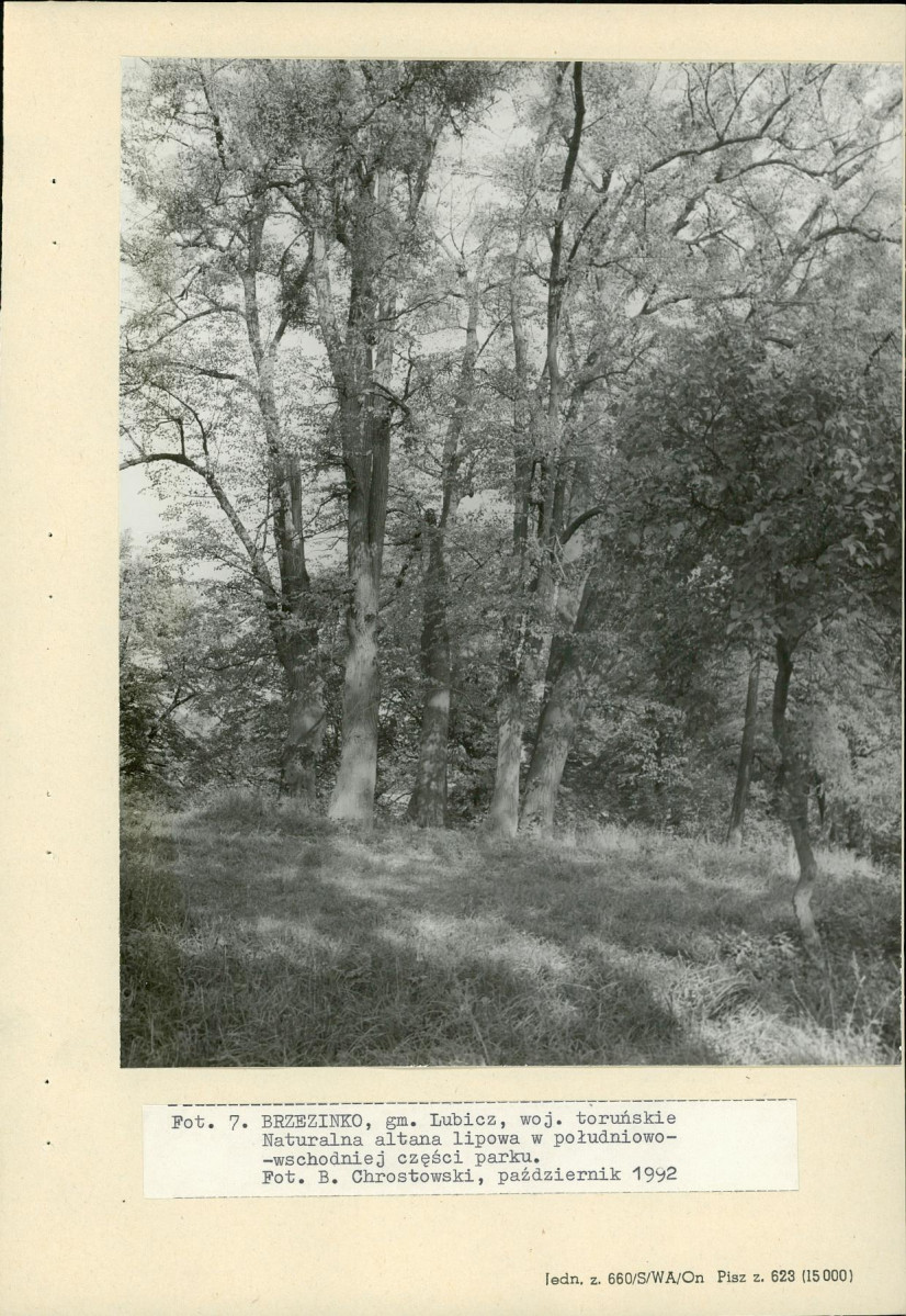 EP - Ewidencja parkowa, skan nr 32