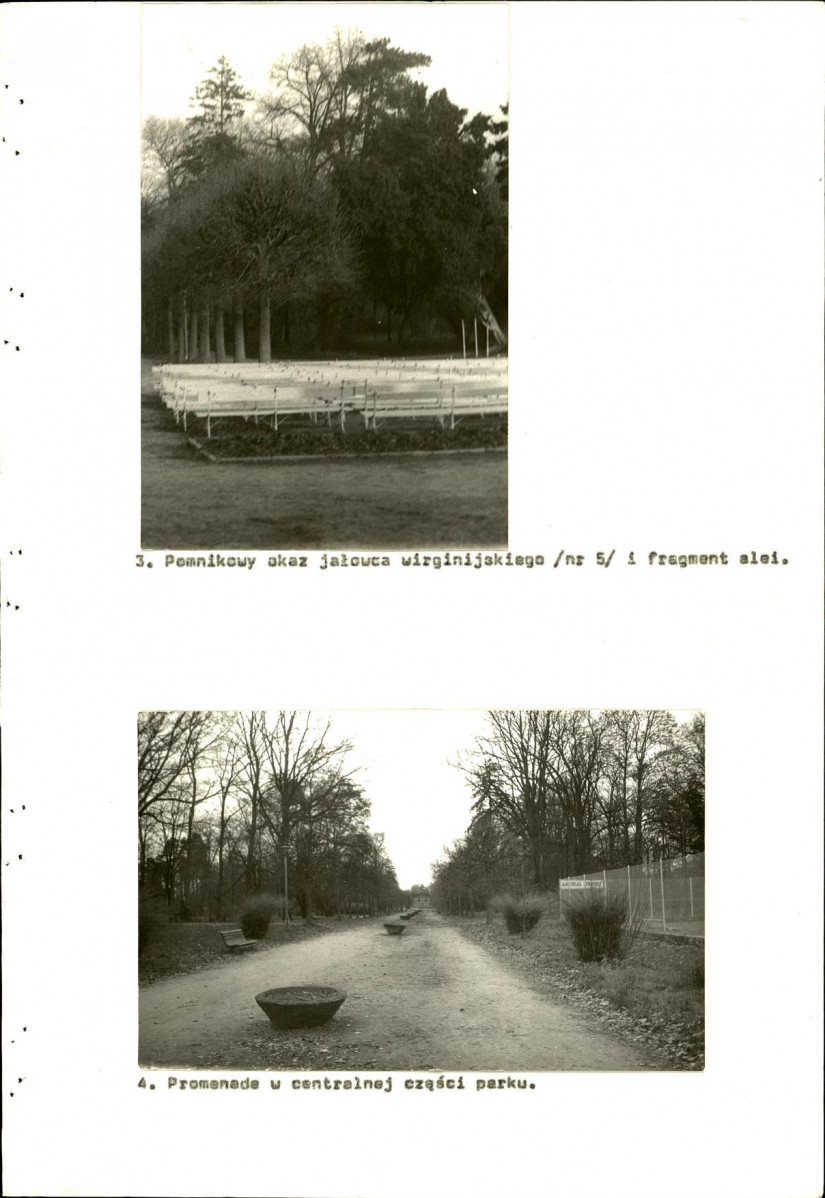 Ewidencja parkowa, skan nr 56