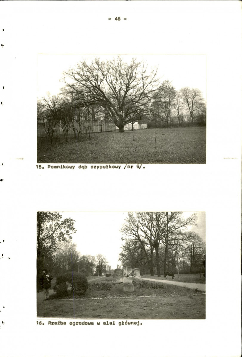 Ewidencja parkowa, skan nr 62