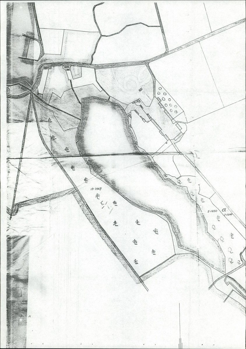 Ewidencja parkowa, skan nr 21