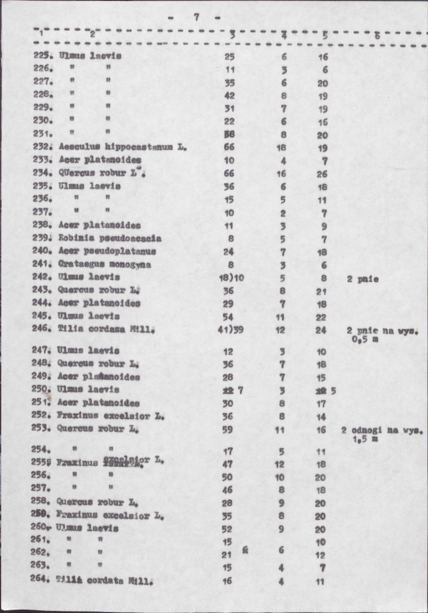 Ewidencja parkowa, skan nr 24