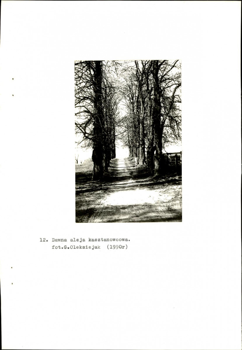 EP - Ewidencja parkowa, skan nr 27