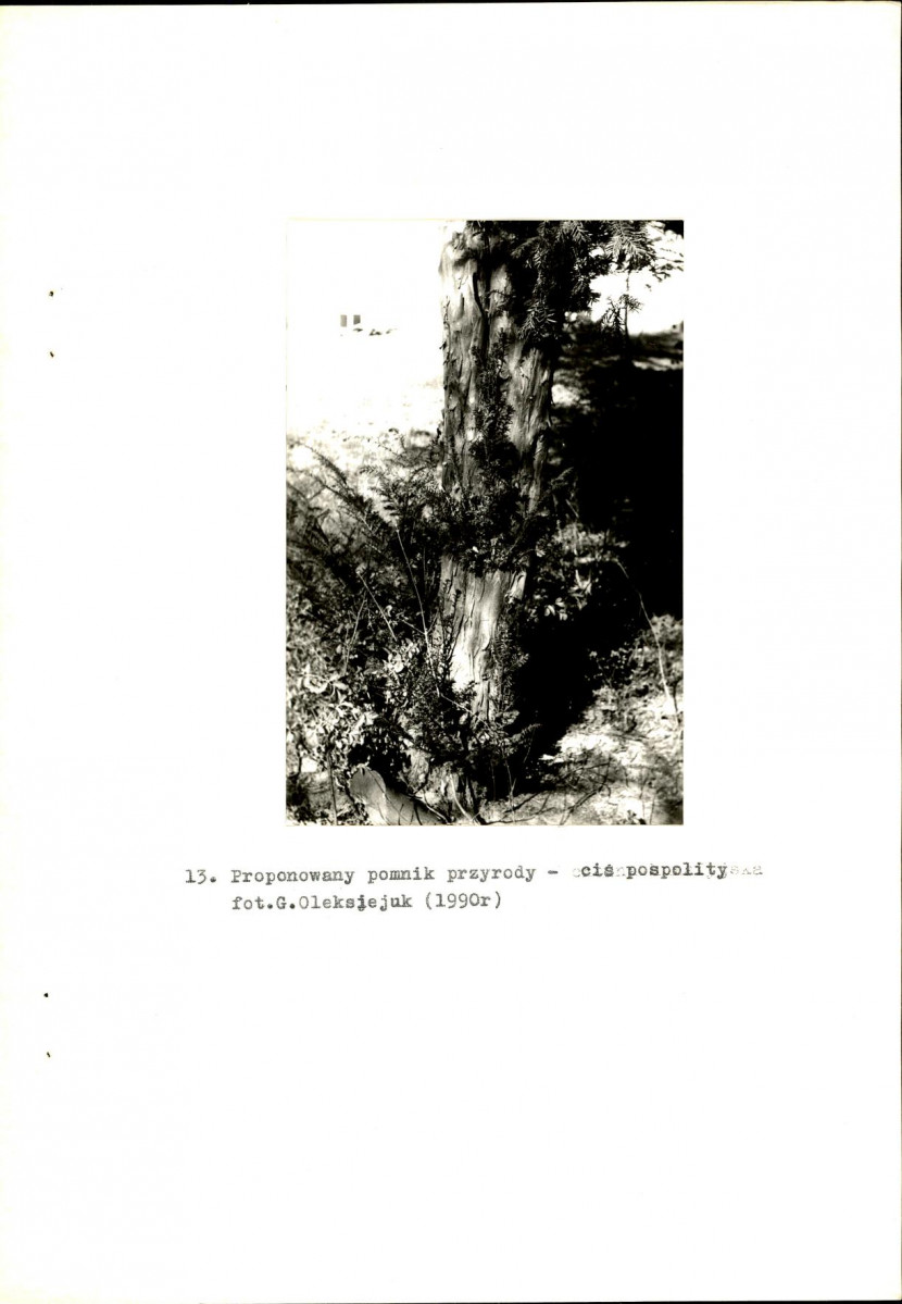 EP - Ewidencja parkowa, skan nr 28