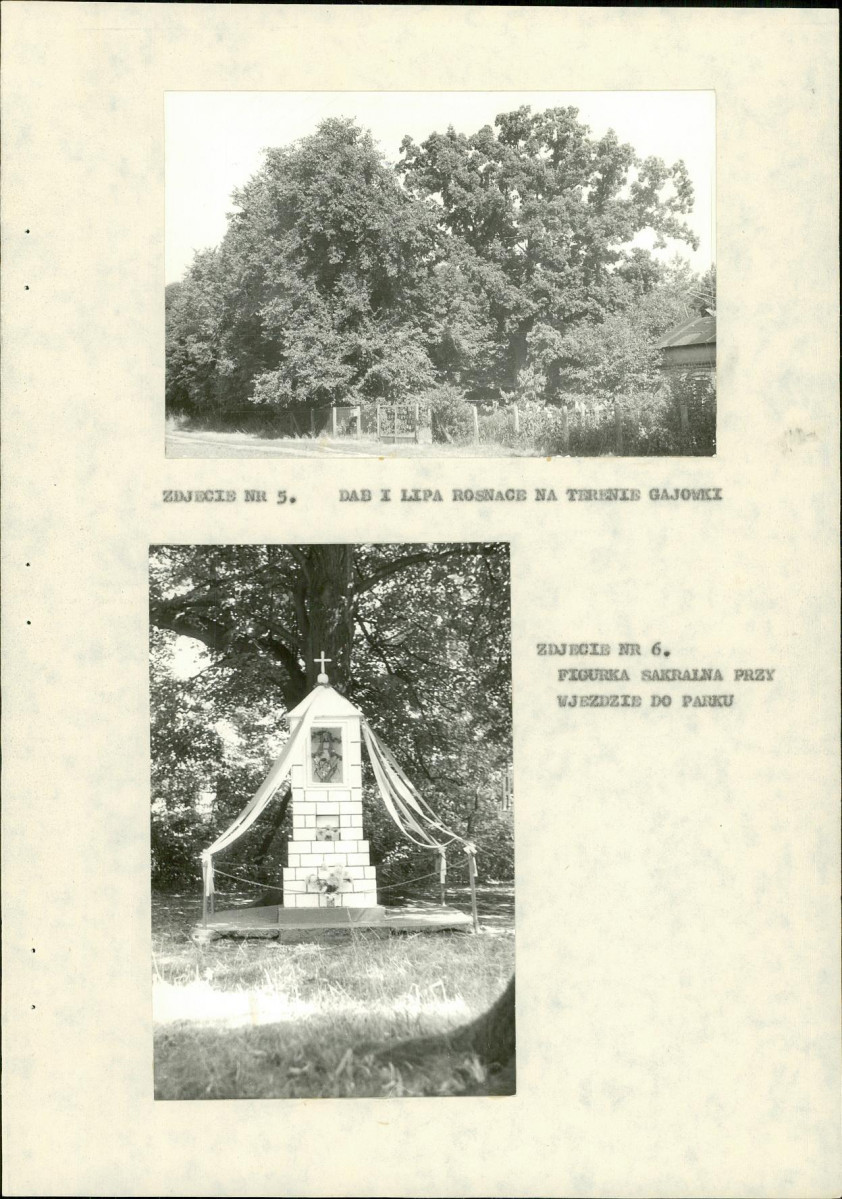 EP - Ewidencja parkowa, skan nr 29