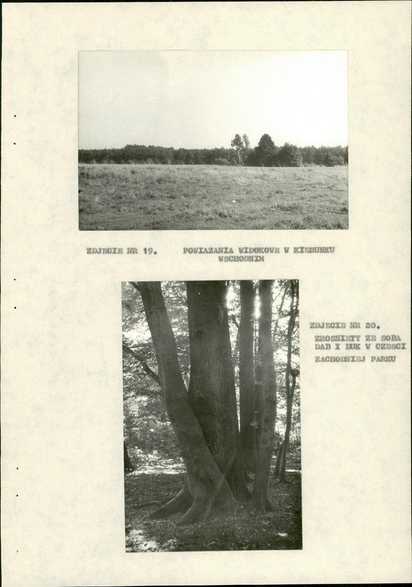 EP - Ewidencja parkowa, skan nr 36