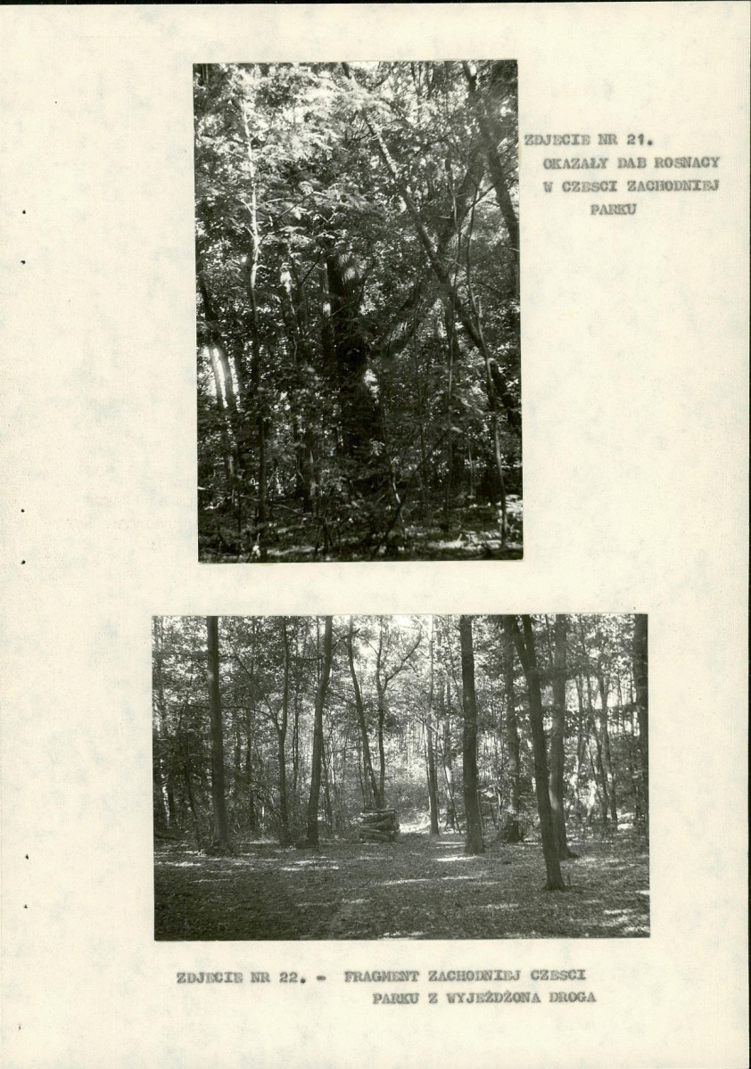 EP - Ewidencja parkowa, skan nr 37