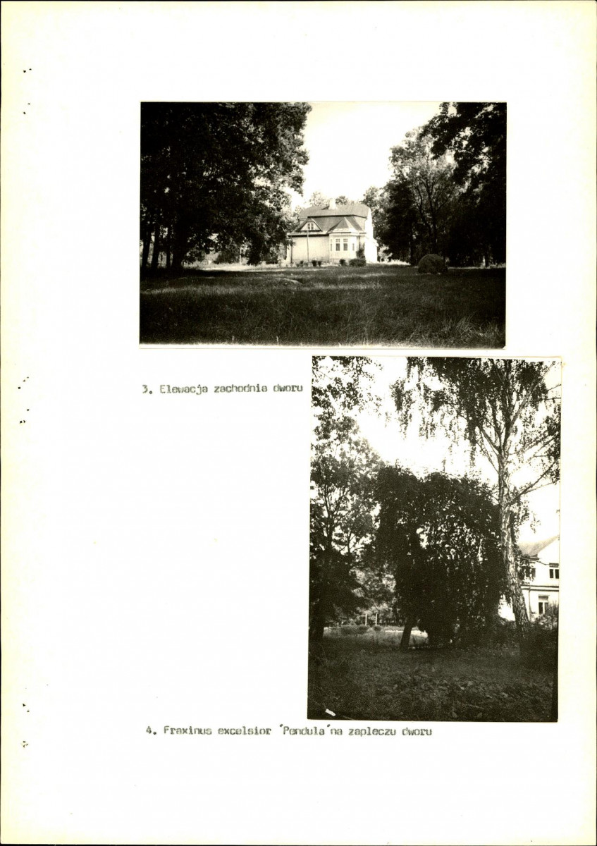 Ewidencja parkowa, skan nr 19