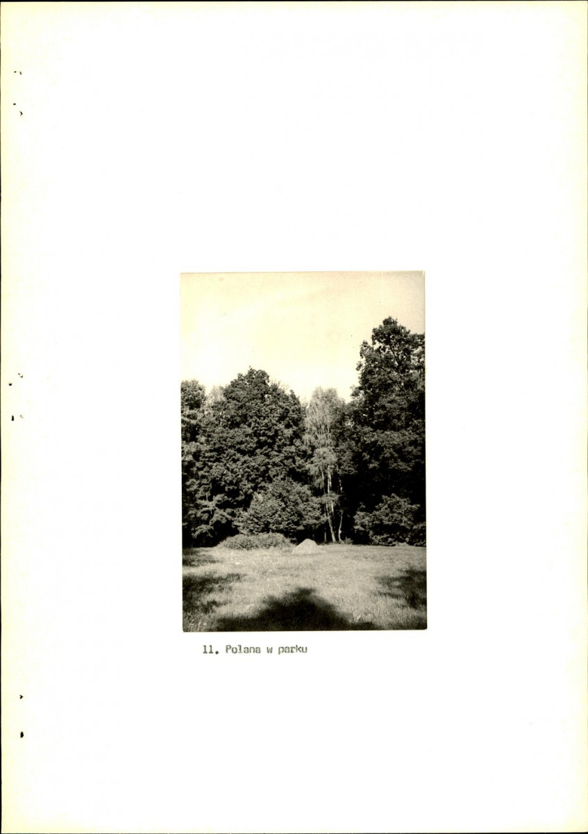Ewidencja parkowa, skan nr 24