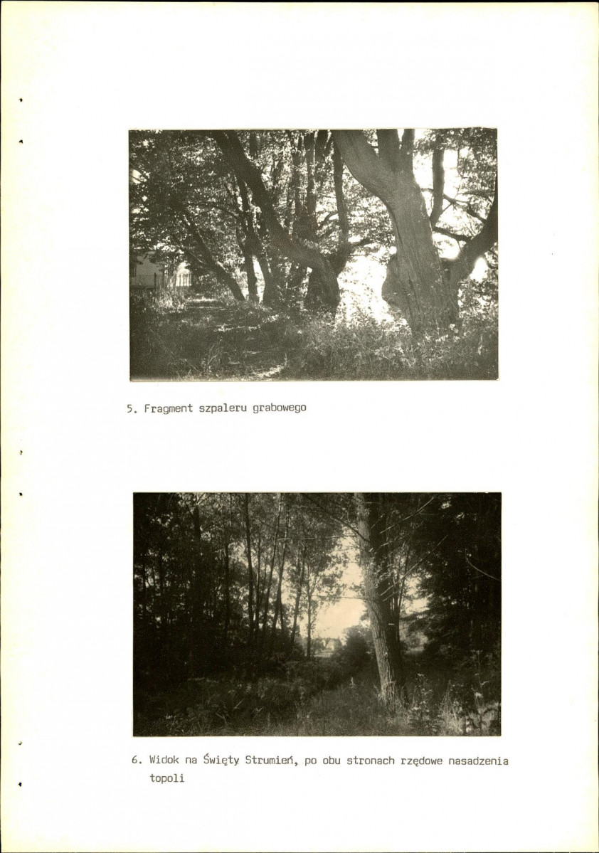 EP - Ewidencja parkowa, skan nr 28