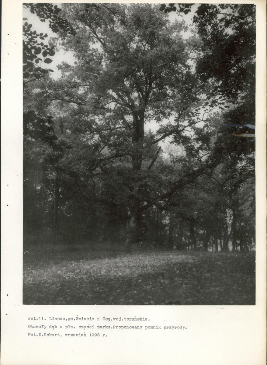 Ewidencja parkowa, skan nr 48
