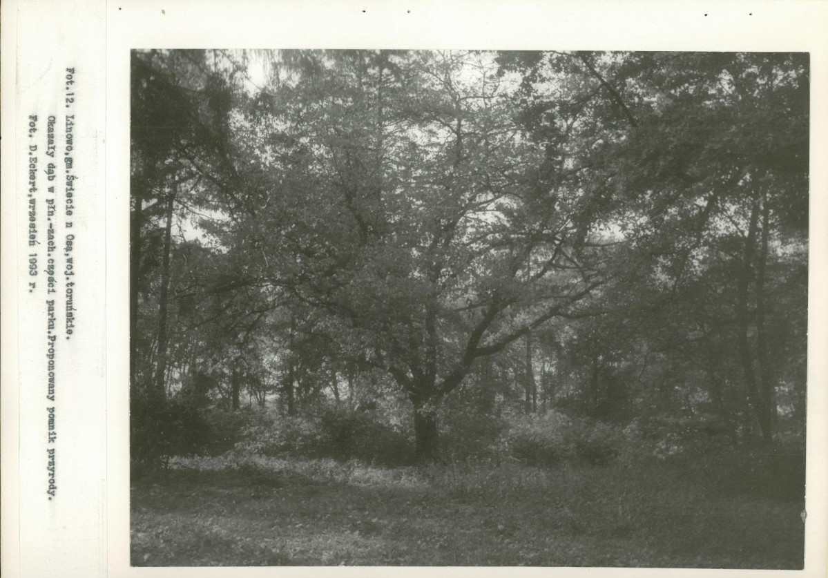 Ewidencja parkowa, skan nr 49