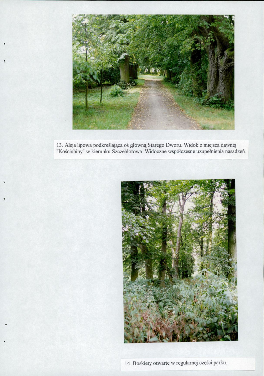 Ewidencja parkowa, skan nr 42