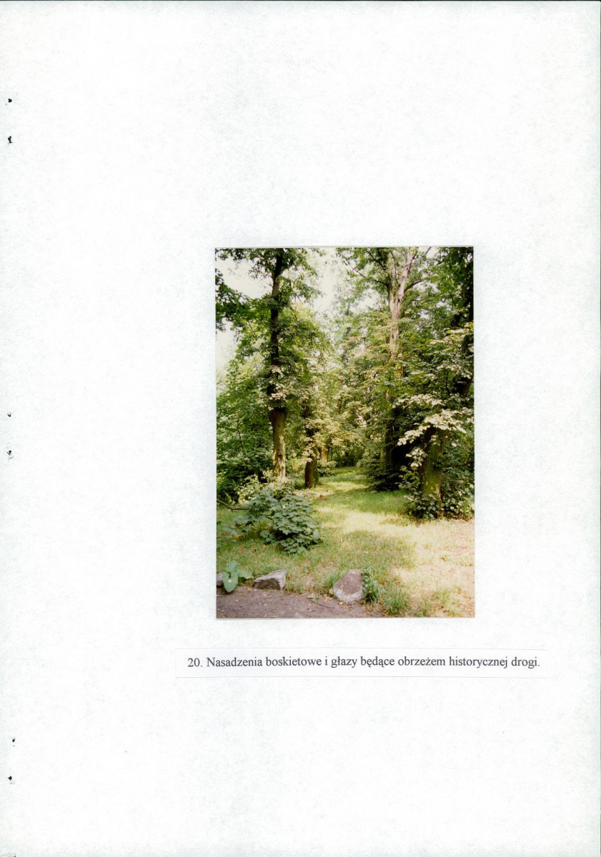 Ewidencja parkowa, skan nr 46