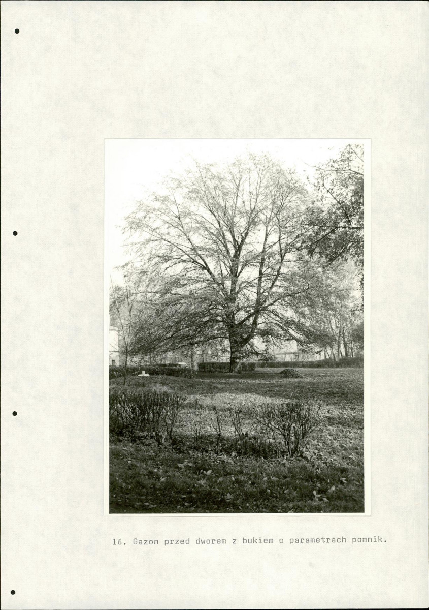 Ewidencja parkowa, skan nr 62