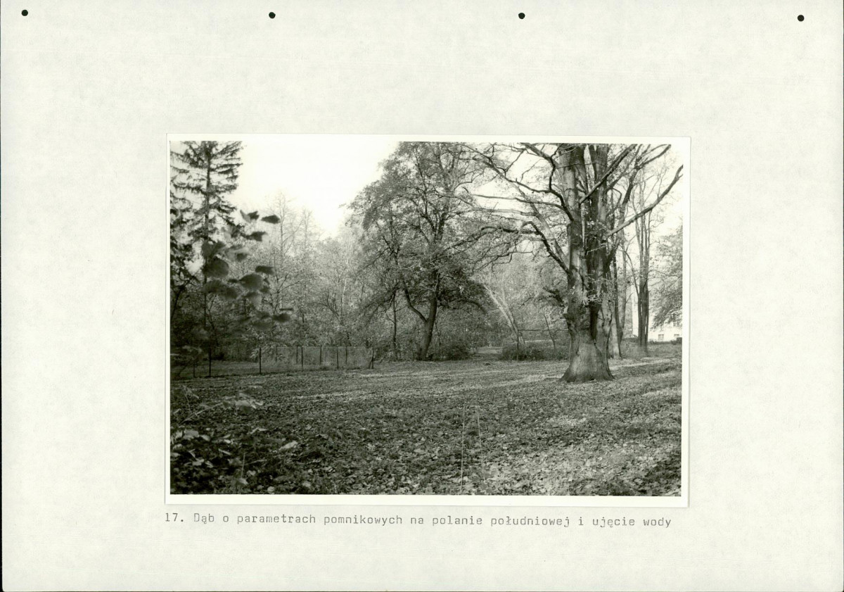 Ewidencja parkowa, skan nr 63