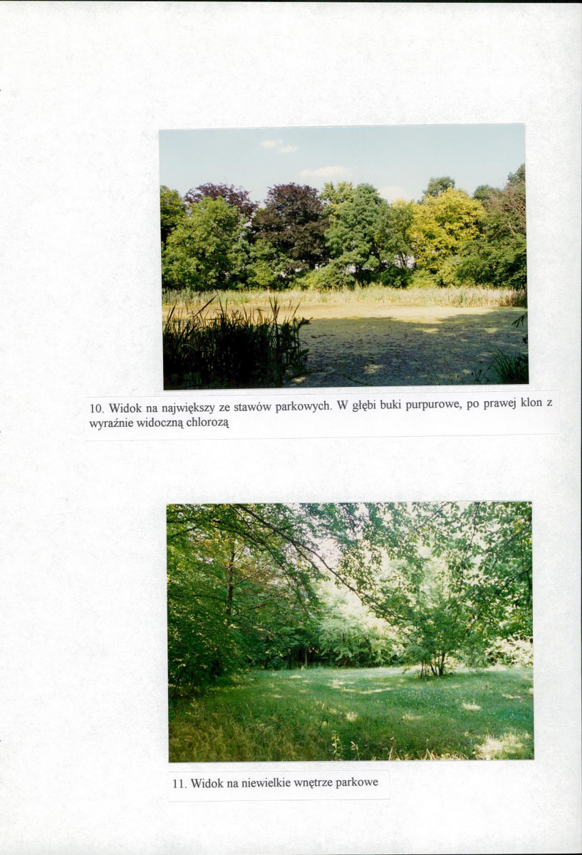 Ewidencja parkowa, skan nr 37