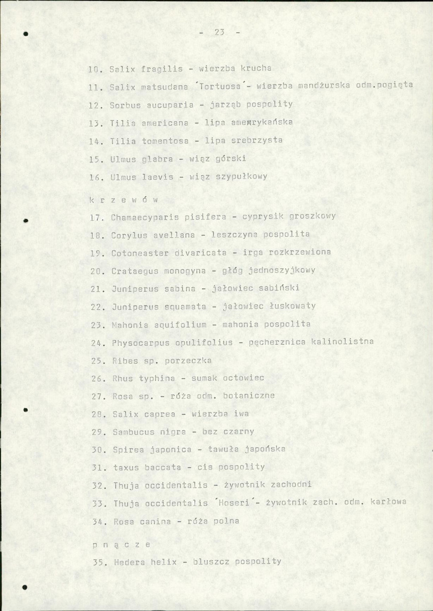 Ewidencja parkowa, skan nr 29