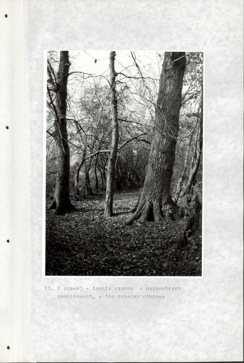 Ewidencja parkowa, skan nr 53