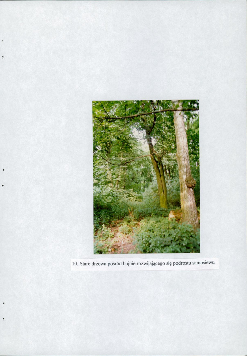 EP - Ewidencja parkowa, skan nr 32