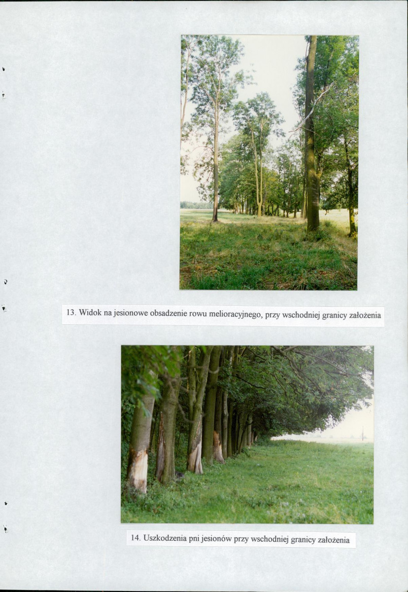 EP - Ewidencja parkowa, skan nr 35