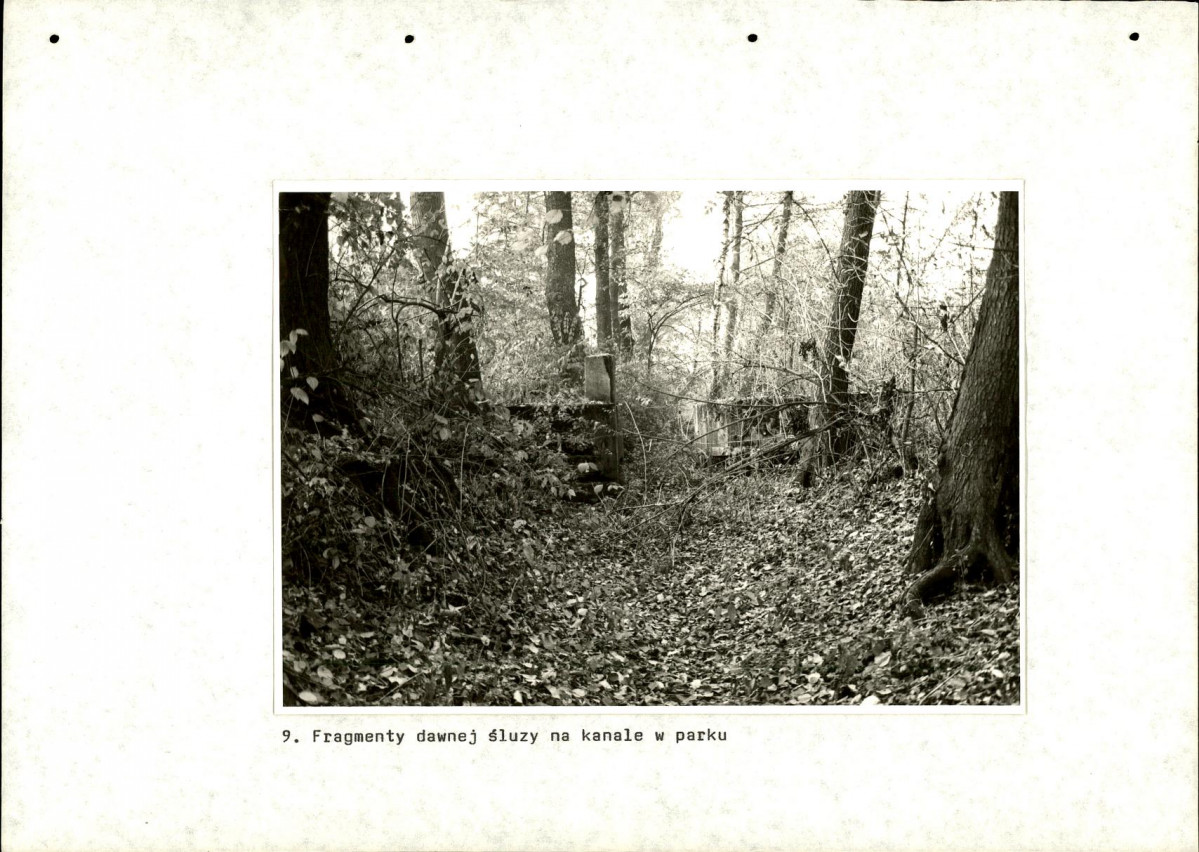 Ewidencja parkowa, skan nr 57