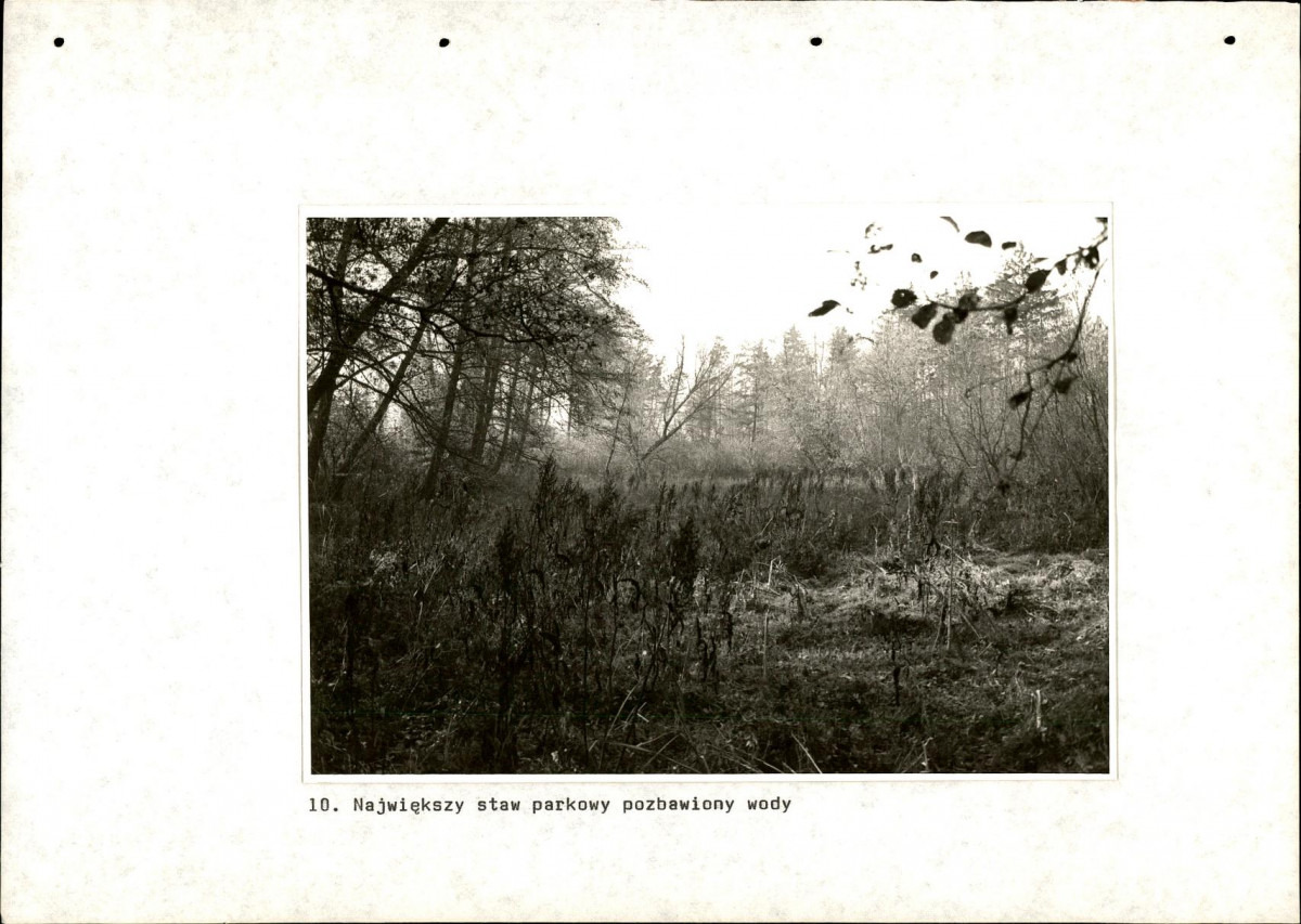 Ewidencja parkowa, skan nr 58