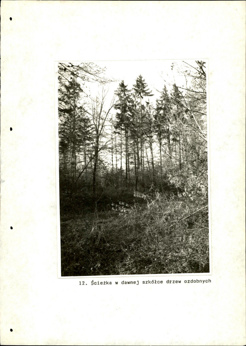 Ewidencja parkowa, skan nr 60