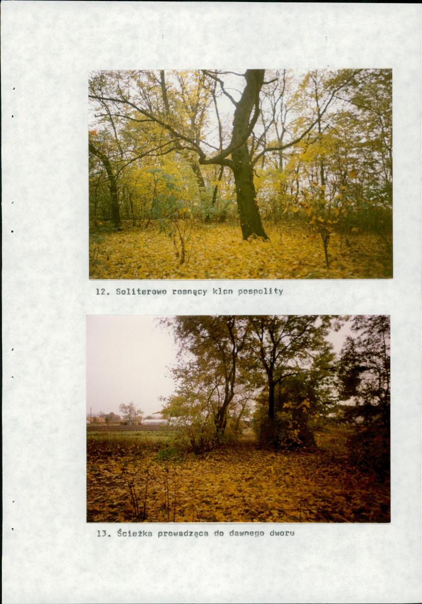 Ewidencja parkowa, skan nr 60