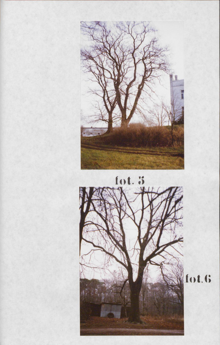 EP - Ewidencja parkowa, skan nr 48