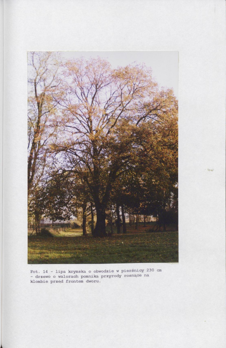 EP - Ewidencja parkowa, skan nr 35