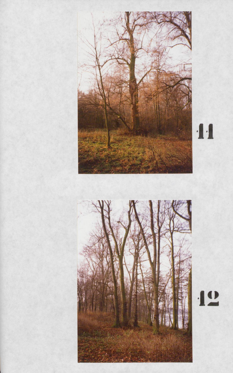 Ewidencja parkowa, skan nr 51
