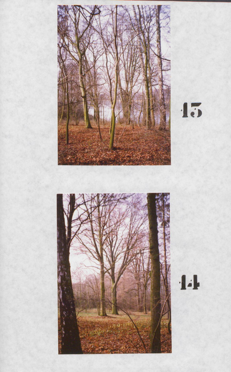 Ewidencja parkowa, skan nr 52