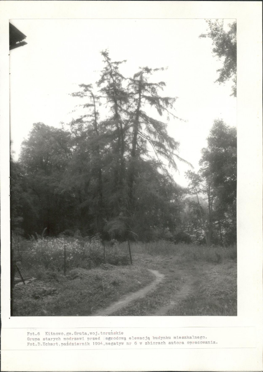 EP - Ewidencja parkowa, skan nr 48
