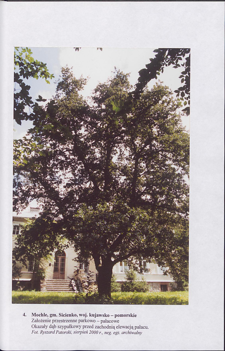 EP - Ewidencja parkowa, skan nr 22