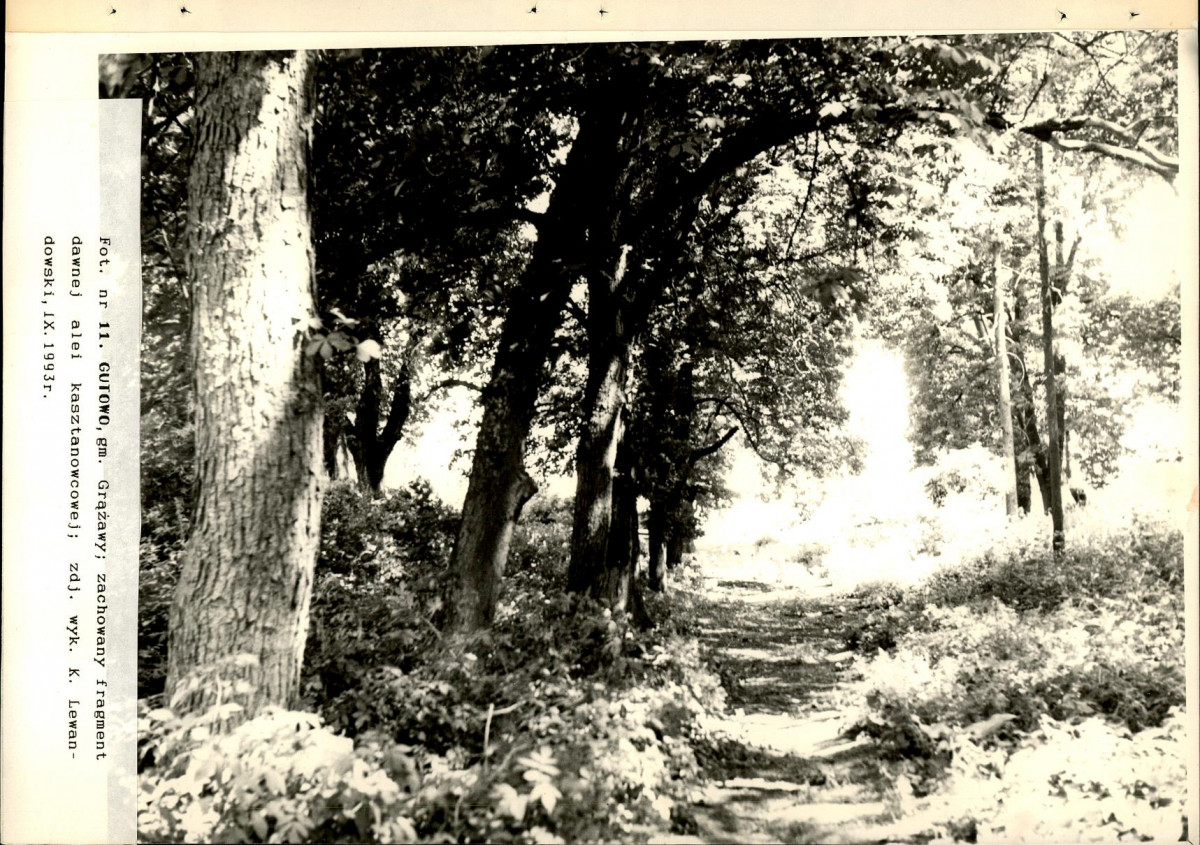 EP - Ewidencja parkowa, skan nr 38