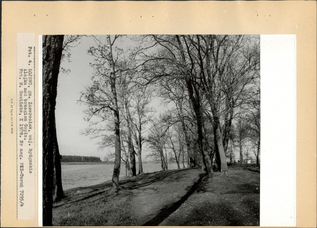 Ewidencja parkowa, skan nr 15