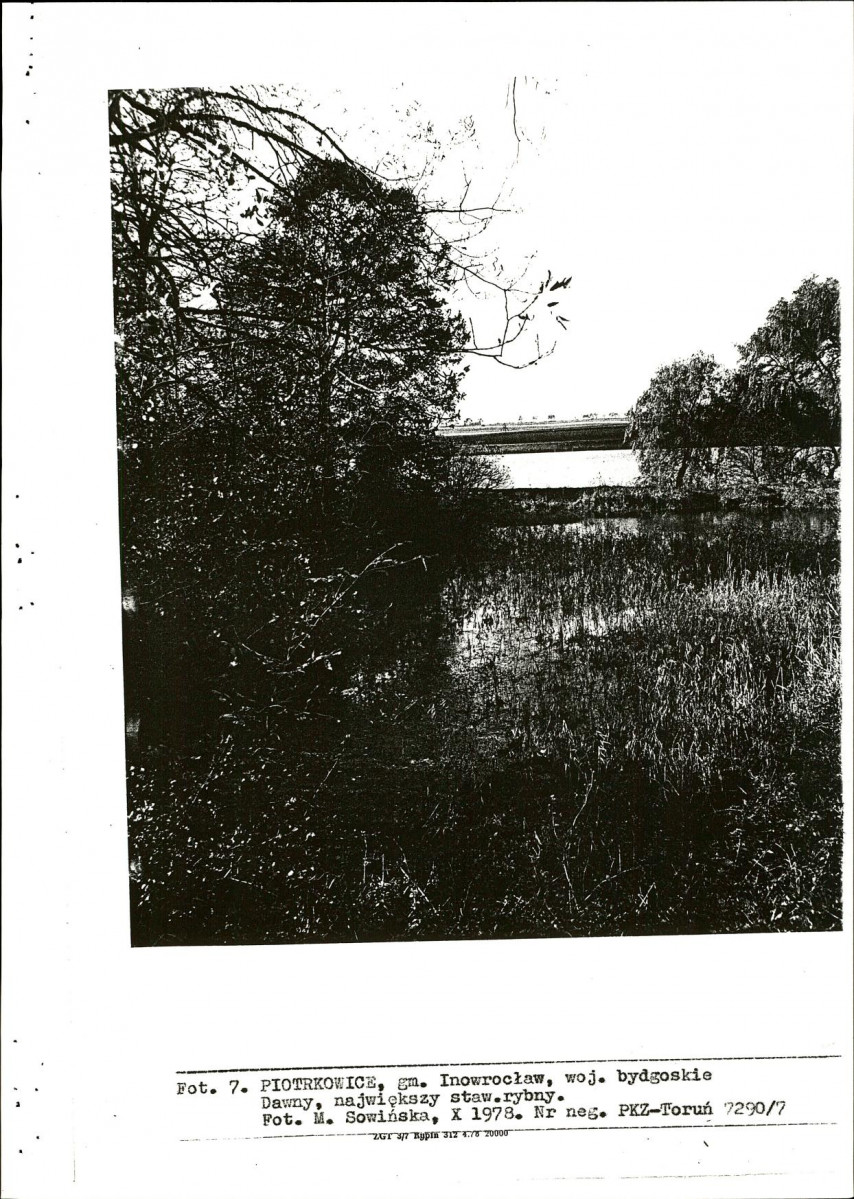 Ewidencja parkowa, skan nr 20