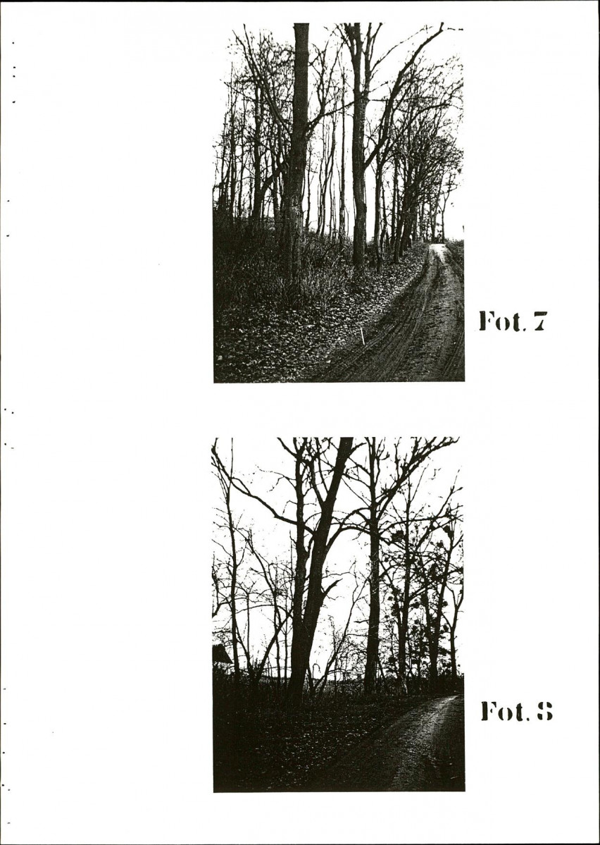 EP - Ewidencja parkowa, skan nr 39