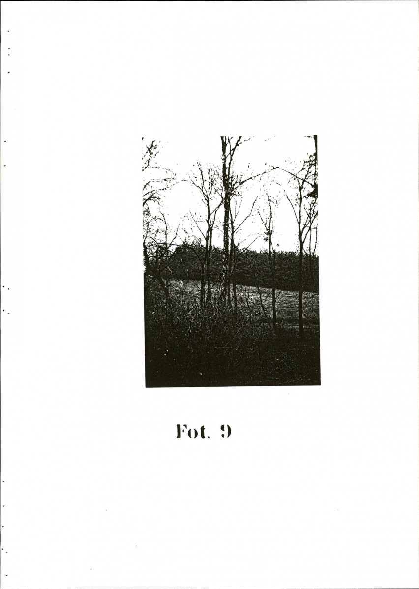 EP - Ewidencja parkowa, skan nr 40