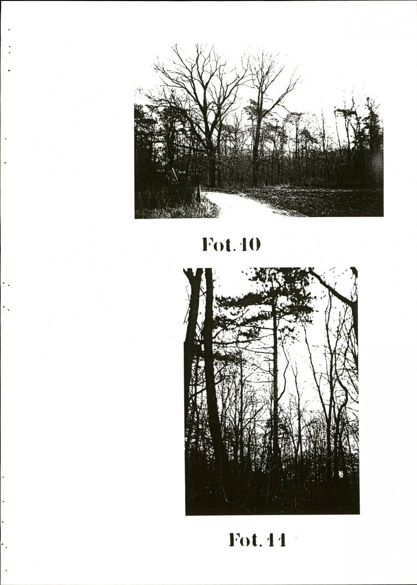 EP - Ewidencja parkowa, skan nr 41